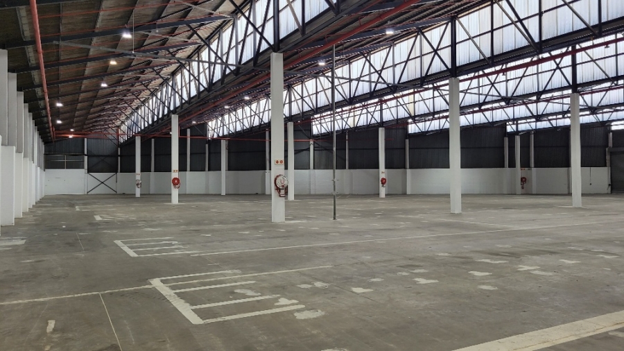 To Let commercial Property for Rent in Epping Industrial Western Cape